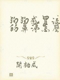 狗狗感冒流黄色的鼻涕怎么办