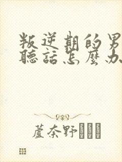 叛逆期的男孩不听话怎么办