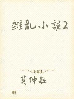 杂乱小说2