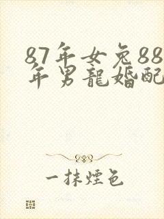 87年女兔88年男龙婚配