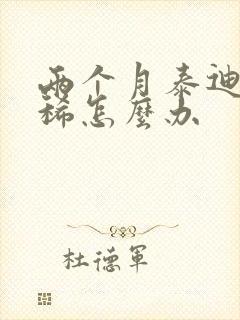 两个月泰迪狗拉稀怎么办