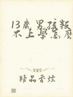 13岁男孩叛逆不上学怎么办