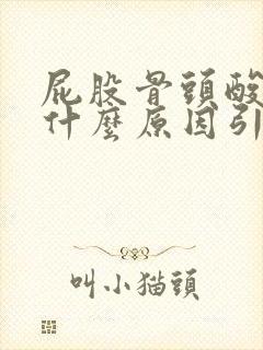 屁股骨头酸胀是什么原因引起的