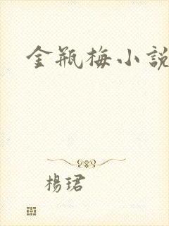 金瓶梅小说