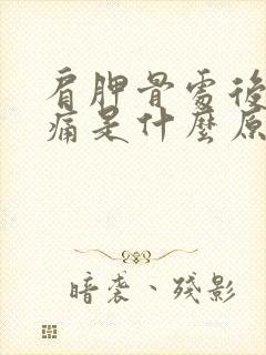 肩胛骨处后背疼痛是什么原因封面