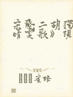 宋飞二胡独奏《晴雯歌》视频