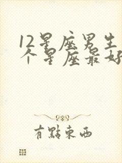 12星座男生哪个星座最好