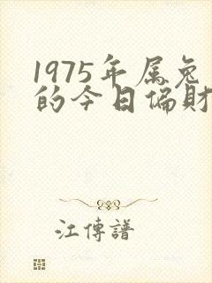 1975年属兔的今日偏财运