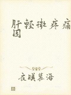 肝轻微疼痛的原因