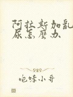 阿拉斯加乱拉乱尿怎么办