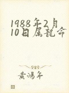 1988年2月10日属龙命运