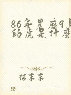 86年农历9月的虎是什么命封面