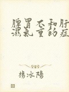 脾胃不和肝火旺湿气重的症状