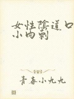 女性阴道口内有小肉刺