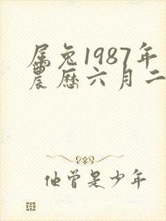 属兔1987年农历六月二十九生的他命运如何