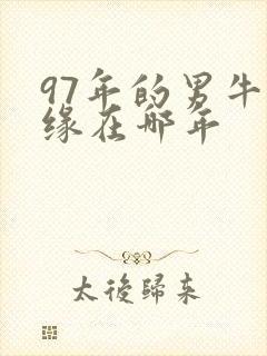 97年的男牛姻缘在哪年
