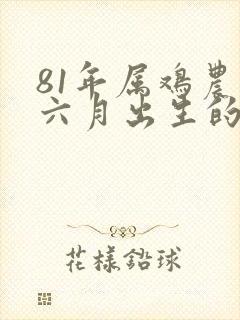 81年属鸡农历六月出生的人命运