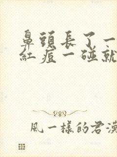 鼻头长了一个大红痘一碰就疼