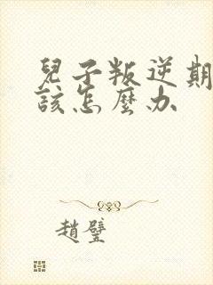 儿子叛逆期严重该怎么办封面