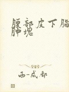 腹部皮下脂肪层肿块