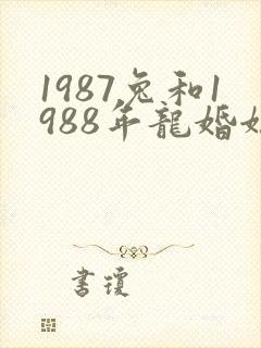 1987兔和1988年龙婚姻好不好