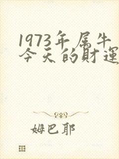 1973年属牛今天的财运如何封面