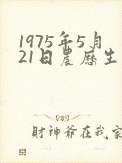 1975年5月21日农历生辰八字封面