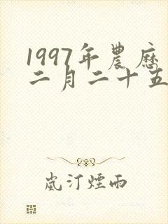 1997年农历二月二十五封面