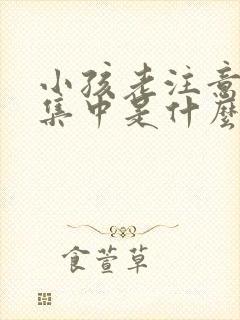 小孩老注意力不集中是什么引起的