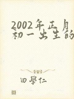 2002年正月初一出生的男孩命运怎么样