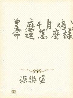 农历4月鸡男的命运怎么样