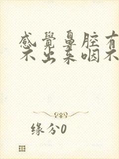 感觉鼻腔有痰咳不出来咽不下去