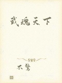 武魂天下
