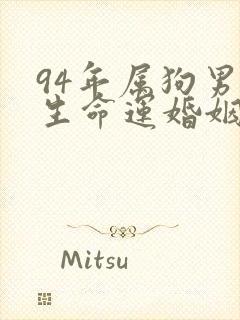 94年属狗男一生命运婚姻封面