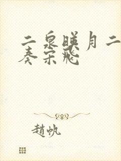 二泉映月二胡独奏宋飞