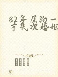 82年属狗一生有几次婚姻女封面