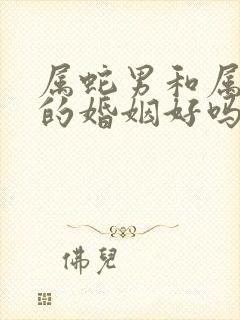 属蛇男和属猴女的婚姻好吗封面