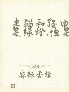 光猫和路由器都是绿灯,但是没网