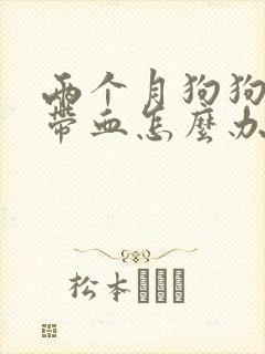 两个月狗狗拉稀带血怎么办