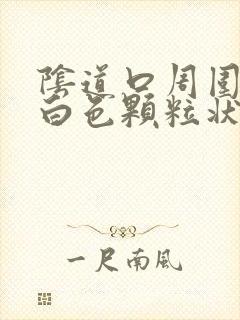 阴道口周围出现白色颗粒状