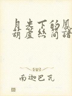 月光下的凤尾竹葫芦丝简谱 独奏