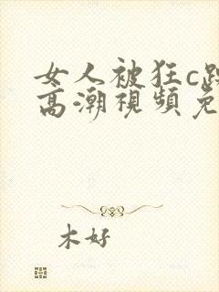 女人被狂c躁到高潮视频免费观看