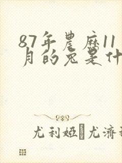 87年农历11月的兔是什么命封面
