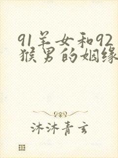 91羊女和92猴男的姻缘怎么样封面