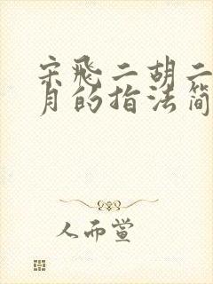 宋飞二胡二泉映月的指法简谱