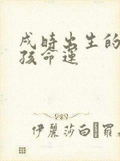 戌时出生的马男孩命运