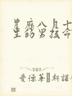 农历八月十三出生的男孩命运