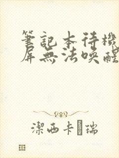 笔记本待机后黑屏无法唤醒