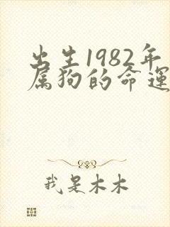 出生1982年属狗的命运如何啊