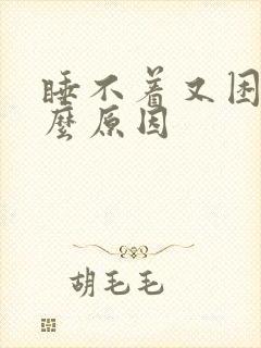 睡不着又困是什么原因封面